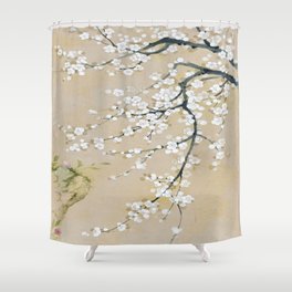 Ume flower painting,korean painting. chinoiserie. Shower Curtain