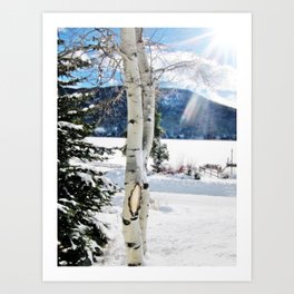 White Birch Tree in Snow Art Print