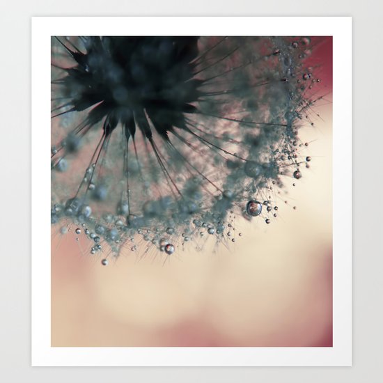 dandelion green III Art Print