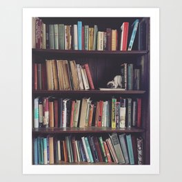 The Bookshelf in the Library, portrait, filtered Art Print