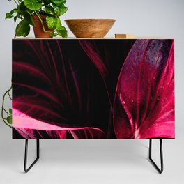 Exotic Anthurium Leaves In Red Credenza