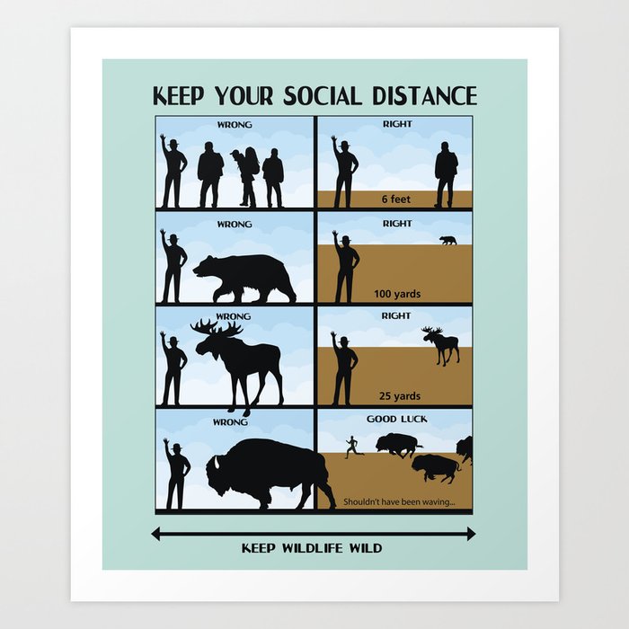 Social Distance Wildlife Safety Poster Art Print