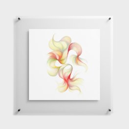Apple, The Colour of - Apricot tones and patterns  Floating Acrylic Print