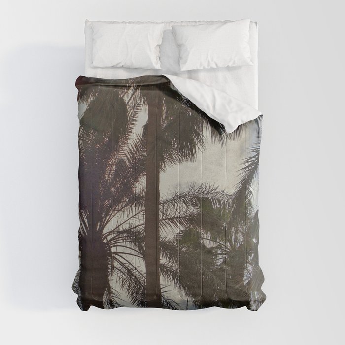 Palm Trees Comforter