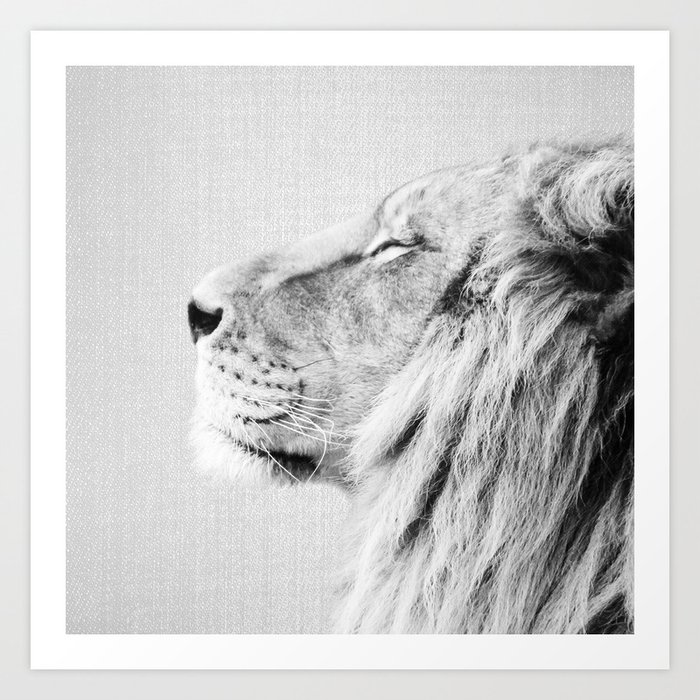 Lion Portrait - Black & White Art Print