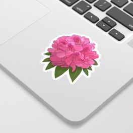 Pink Rhododendron Flower  Sticker