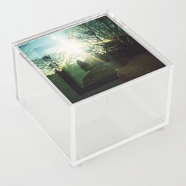 Reflections in Quaratine Acrylic Box