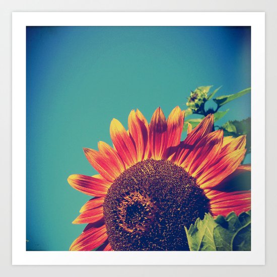 Summer Sunflower Art Print