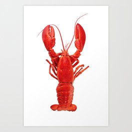 Atlantic Lobster 3 Art Print