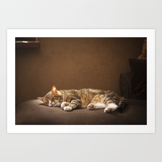 Cat sleep Art Print