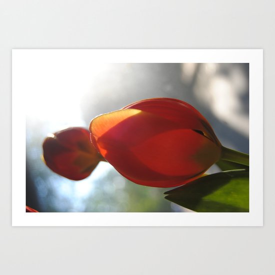 title-less Art Print