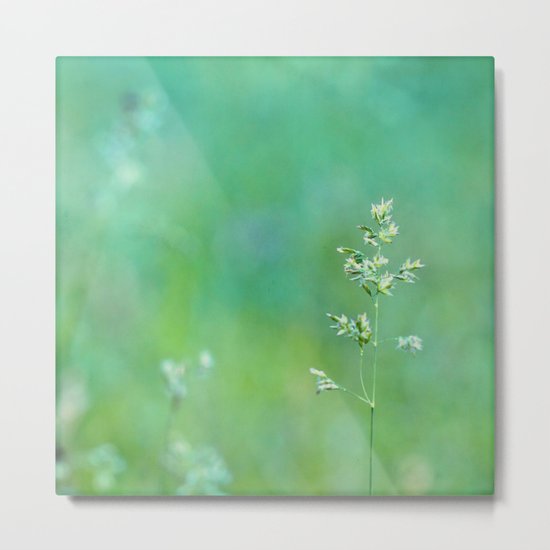 blue grass Metal Print