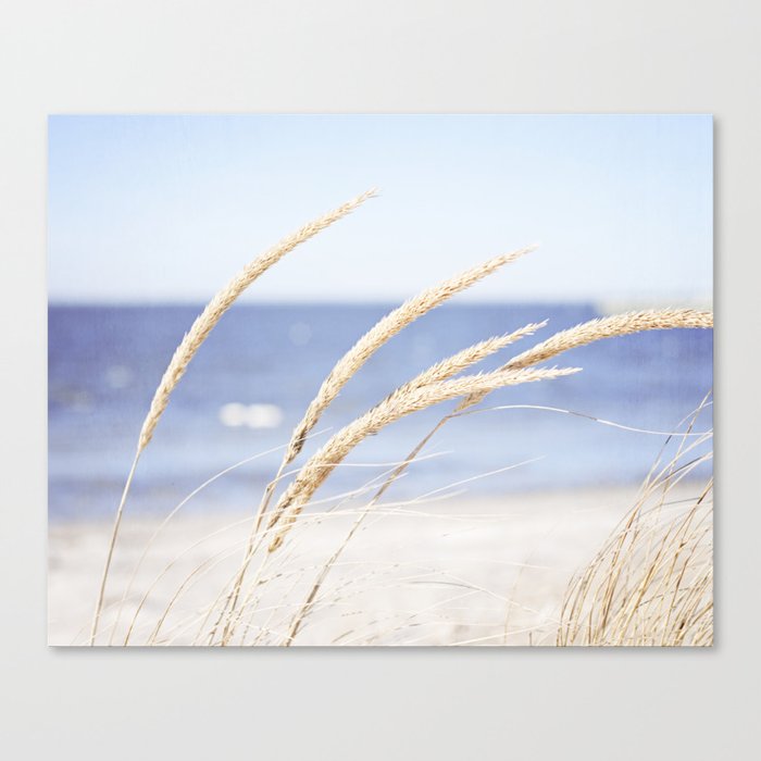 Beach Grass Blue Photography, Coastal Ocean Landscape, Sea Seashore Seascape Shore Canvas Print