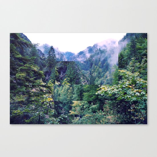In the forest Canvas Print