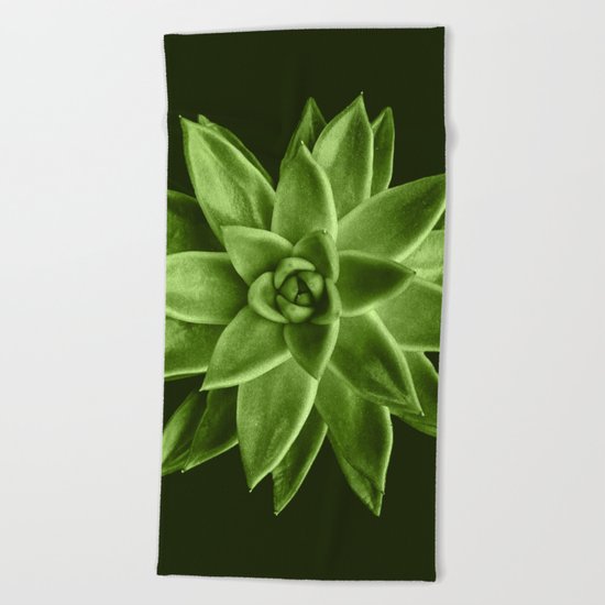 Greenery succulent Echeveria agavoides flower Beach Towel