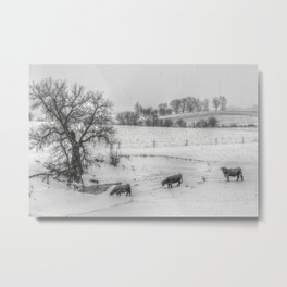 Winter in the Country Metal Print