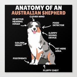 Anatomy Of An Australian Shepherd Sweet Dogs Canvas Print