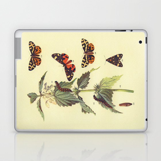 Vintage Scientific Wood and Scarlet Tiger Moths Illustration Print Laptop & iPad Skin