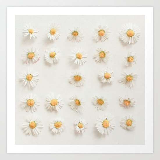 Daisy Collection Art Print