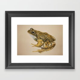  frog Framed Art Print