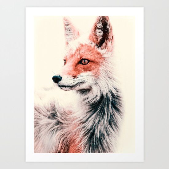 FOX 2 Art Print
