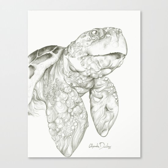 Tulisa the Turtle Canvas Print