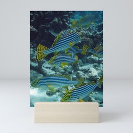 clownfish Mini Art Print