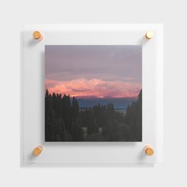 Argentina Photography - Pink Sunset Over The Argentine Forest Floating Acrylic Print