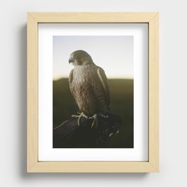 Falcon 7 Recessed Framed Print