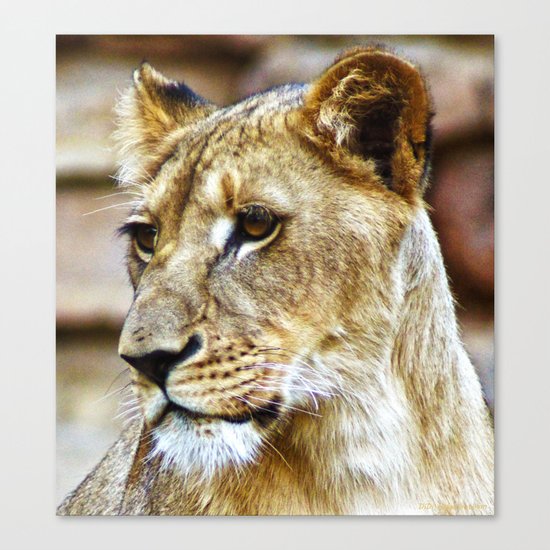 Her Highness Canvas Print