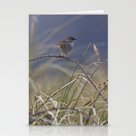 Dunnock Stationery Cards