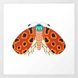 Spring moth 005 Art Print