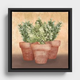 Rosemary and Thyme Framed Canvas