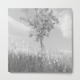 Summer Rowan Tree in Glossy Monochrome Metal Print