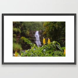 Waimea Falls Framed Art Print