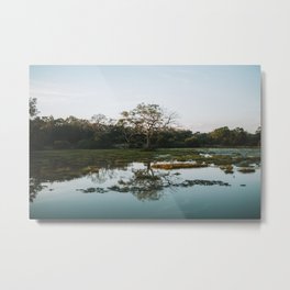 Tree reflection in mirror lake - Sri Lanka travel photography print Metal Print