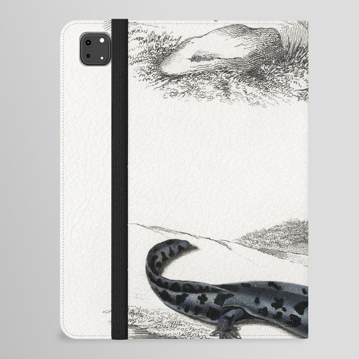 Fire Salamander & Hellbender Salamander iPad Folio Case