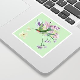 Hummingbird on mint green Sticker