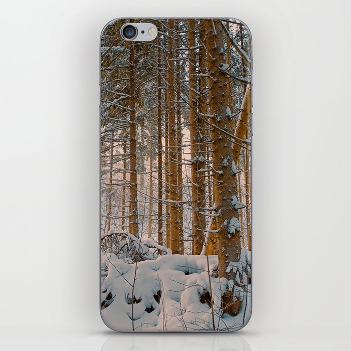 Golden hour in winter forest after snowstorm iPhone Skin