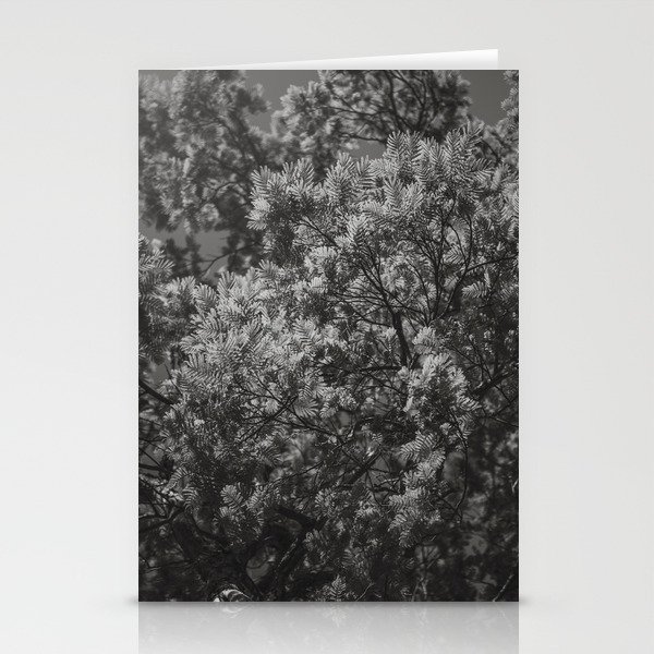 Jungle Leaves - Black and White - Real Tree #6 Stationery Cards