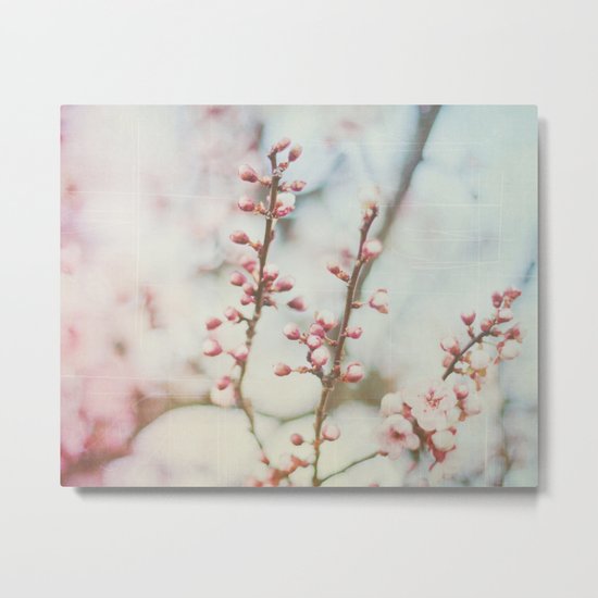 Small & Soft Metal Print