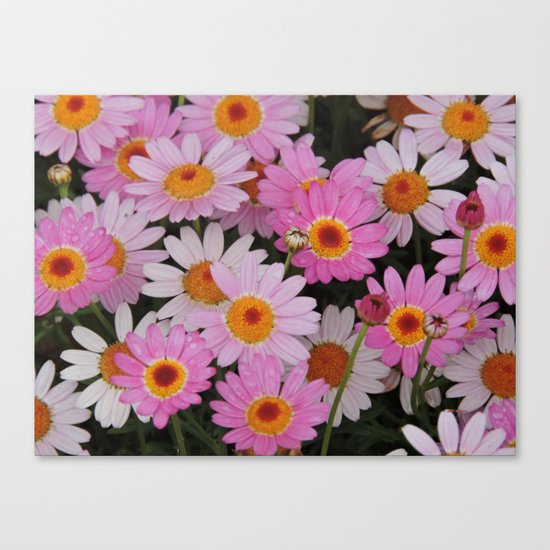 Petals, Petals, Petals Canvas Print