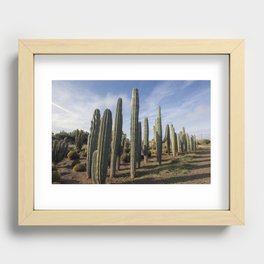 Cactus No. 2 Recessed Framed Print