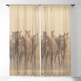 Wild Horses 6608 - Northwestern Nevada Sheer Curtain
