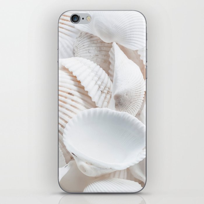 White Sea Shells by the Ocean iPhone Skin
