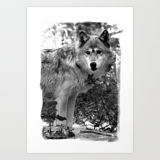 Wolf Art Print