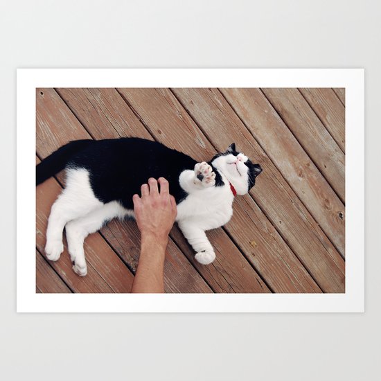 Cat Art Print