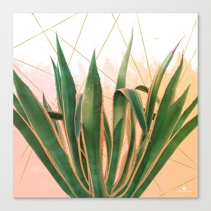 Cactus with geometric Canvas Print