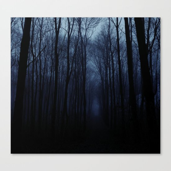 Deep Forest Canvas Print