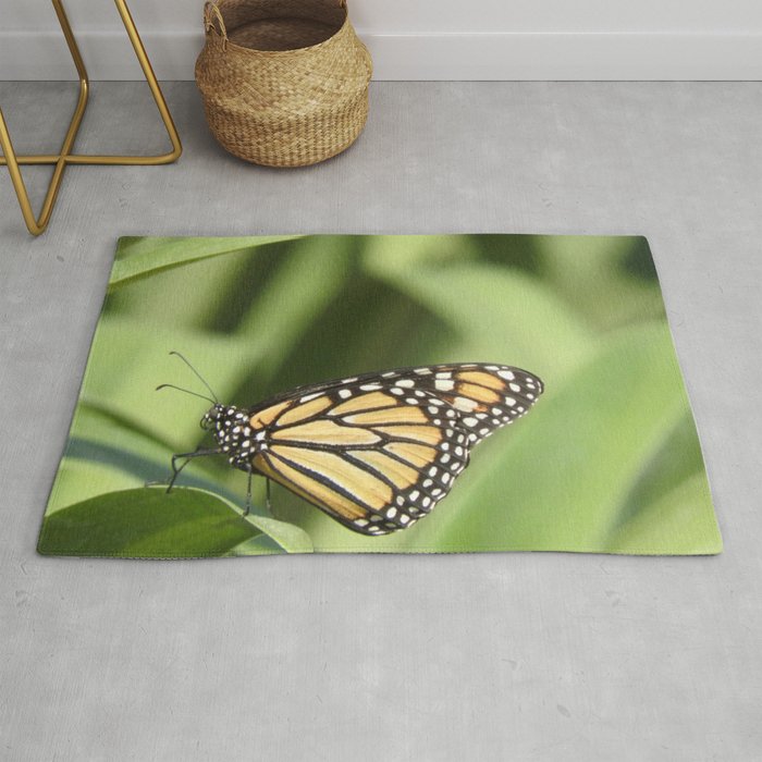 Mexico Photography - Beautiful Butterfly On A Plant Rug